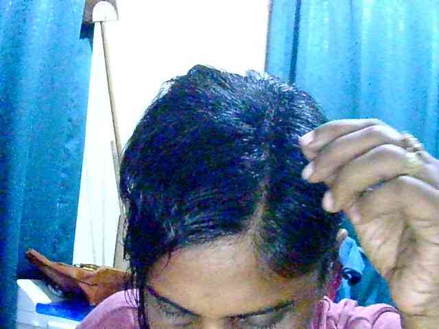 Anshia