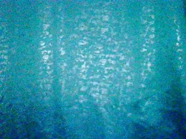Anshia webcam