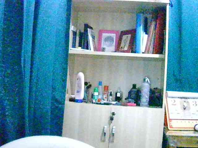 Anshia webcam