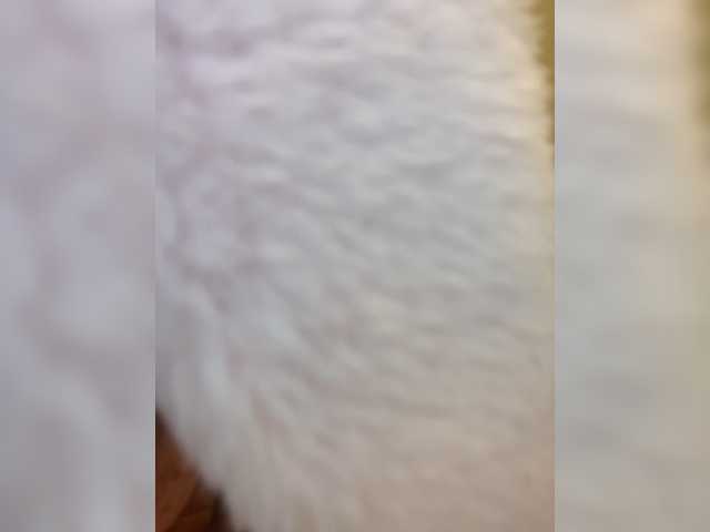 Nefiq081
