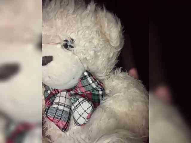 nefiq081