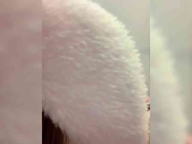 Cocucka_B_Tecme