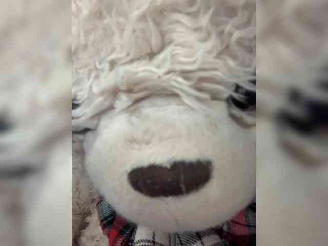 nefiq081