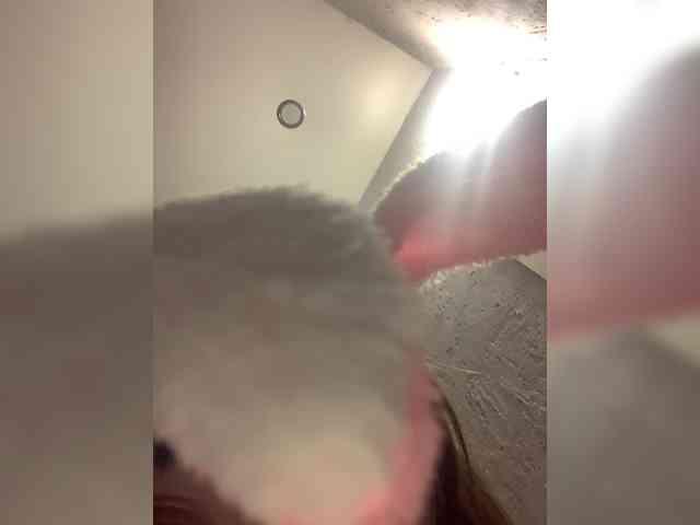 Cocucka_B_Tecme