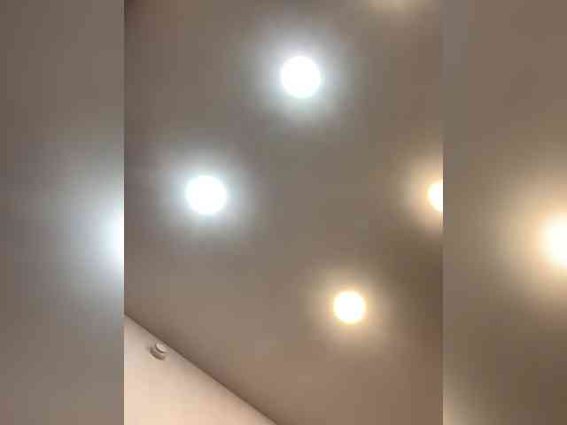 nefiq081