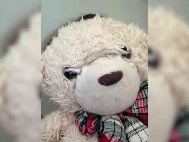 nefiq081