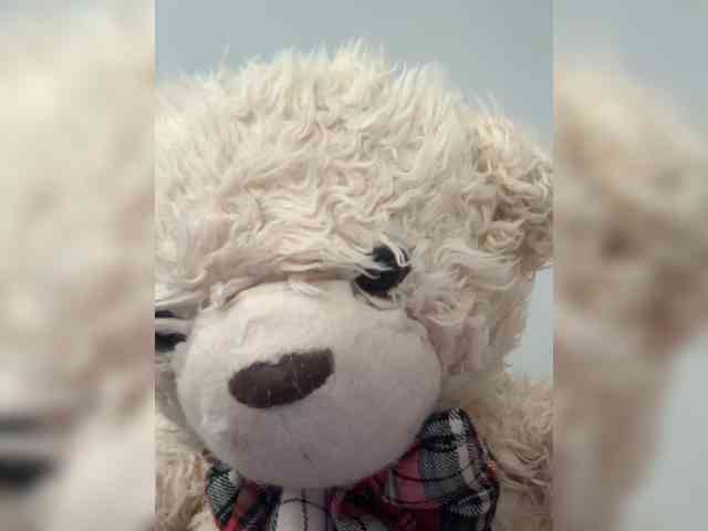 nefiq081