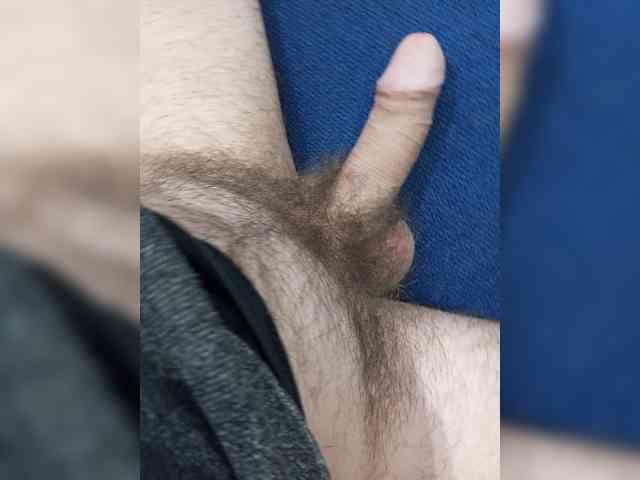 Dimasik500 Dimasik500