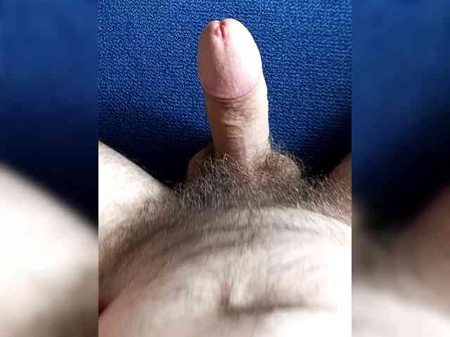 Dimasik500 Dimasik500