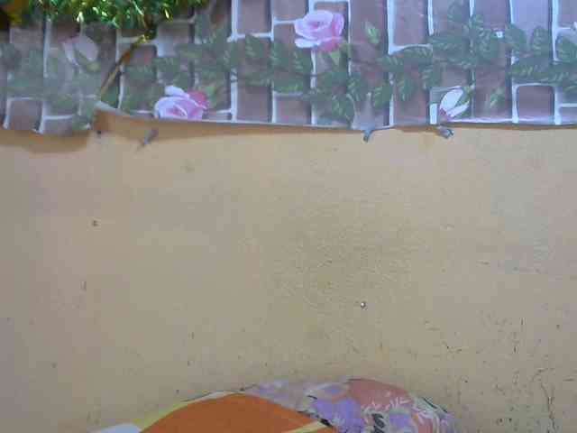 Sandiesexy webcam