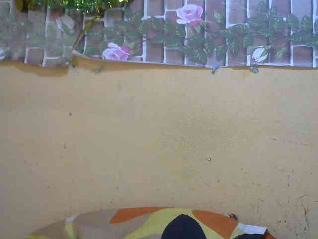 Sandiesexy webcam