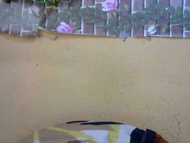 Sandiesexy webcam