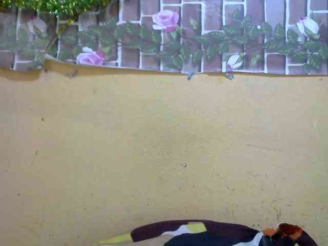 Sandiesexy webcam