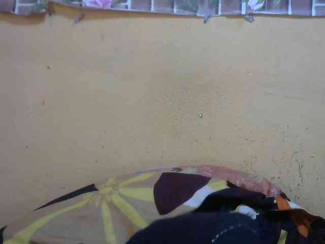 Sandiesexy webcam