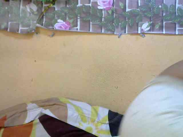 Sandiesexy webcam