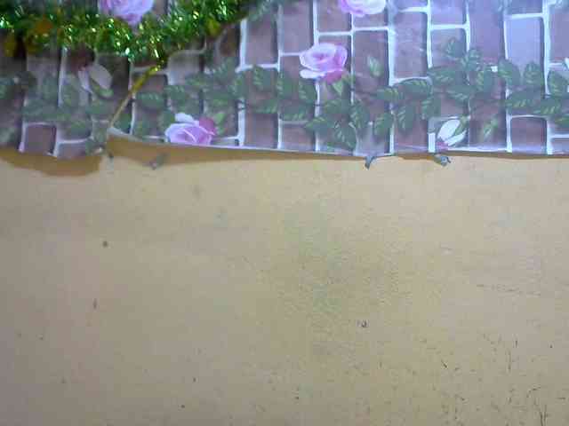 Sandiesexy webcam