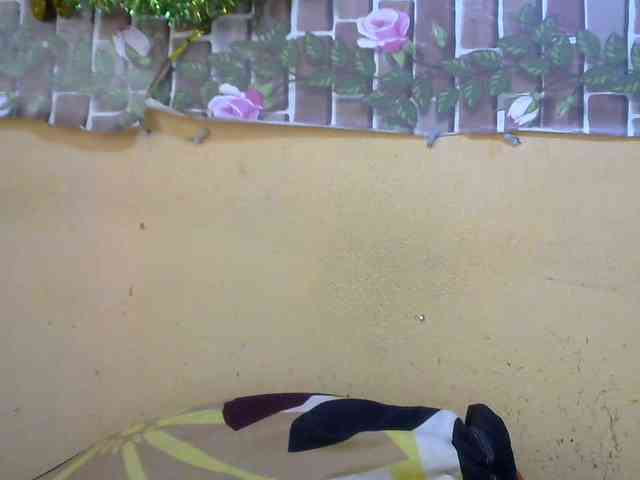 Sandiesexy webcam