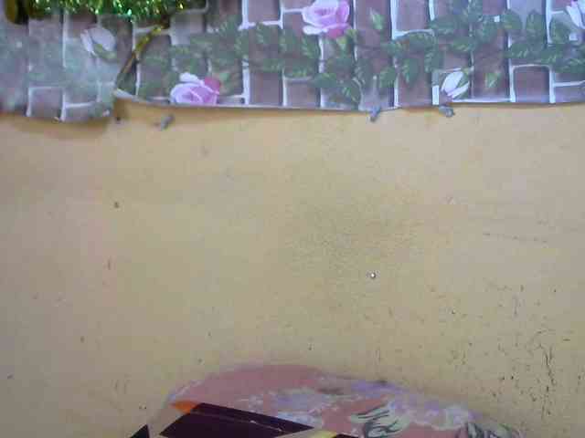 Sandiesexy webcam