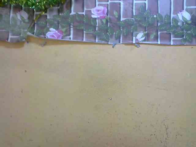 Sandiesexy webcam