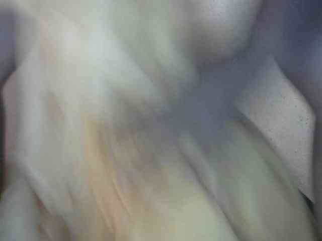 Sandiesexy webcam
