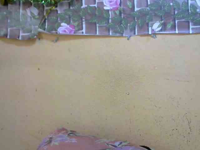 Sandiesexy webcam