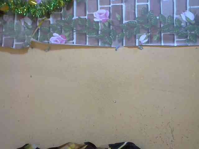 Sandiesexy webcam