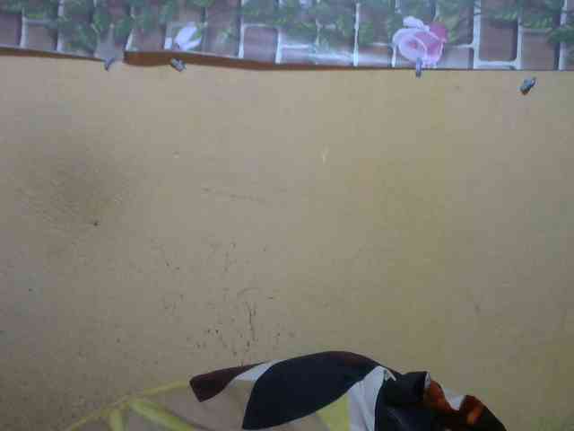 Sandiesexy webcam