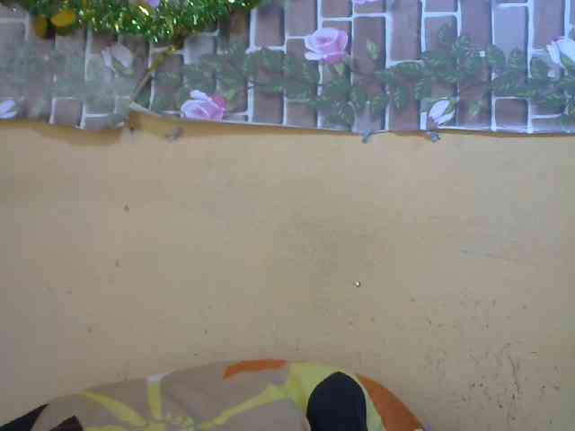 Sandiesexy webcam