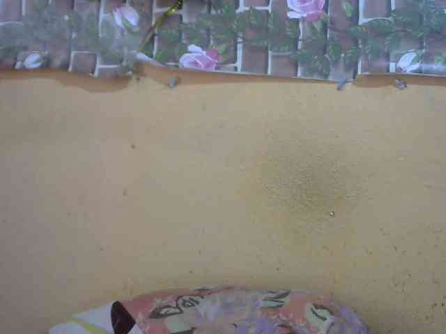 Sandiesexy webcam