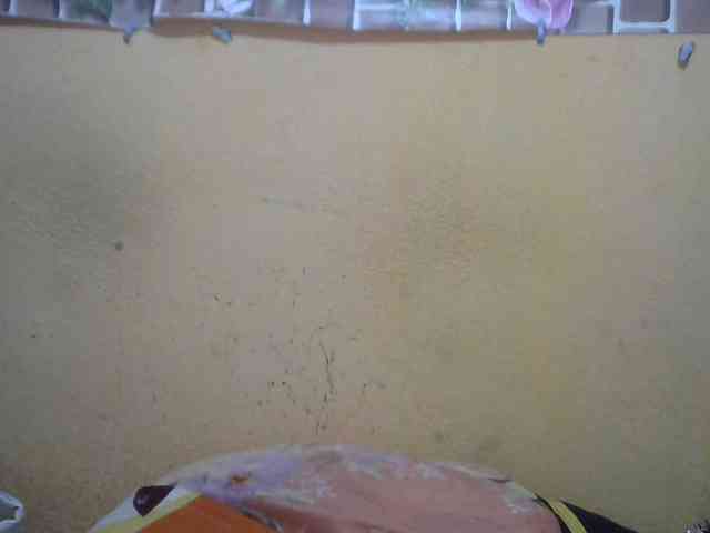 Sandiesexy webcam