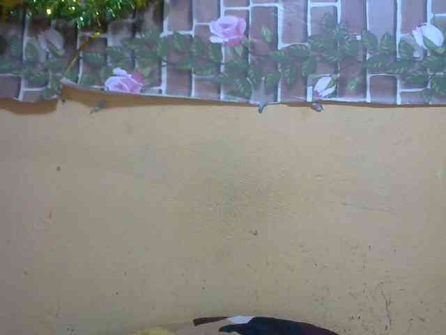 Sandiesexy webcam