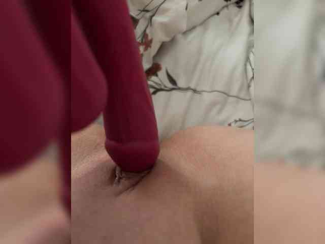Dalyb webcam