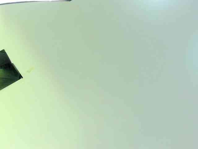 Gabriela-Suarez-1 webcam