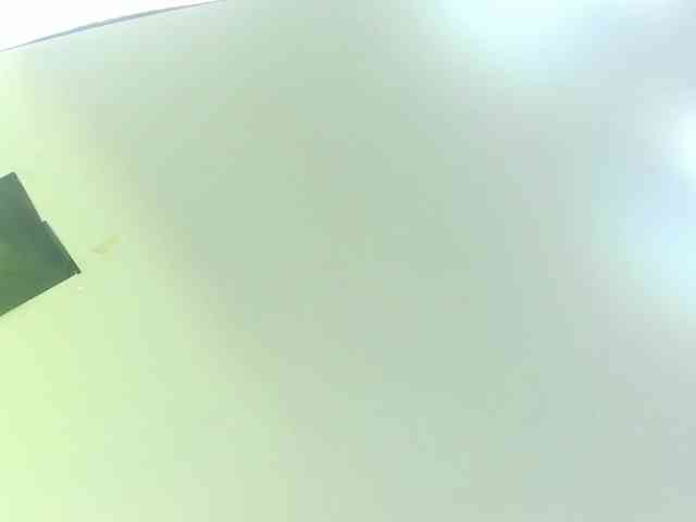 Gabriela-Suarez-1 webcam