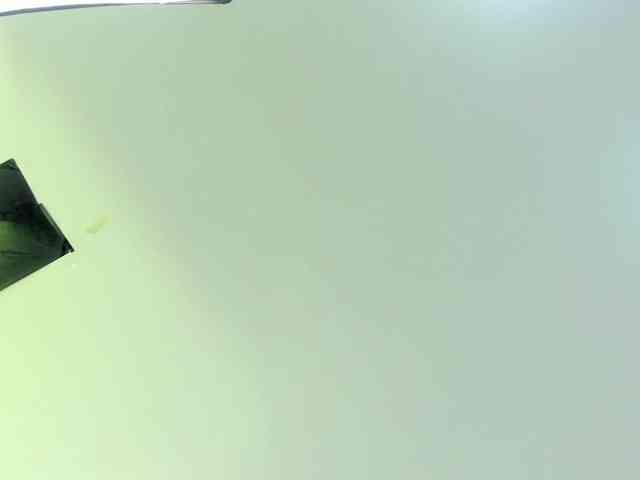 Gabriela-Suarez-1 webcam