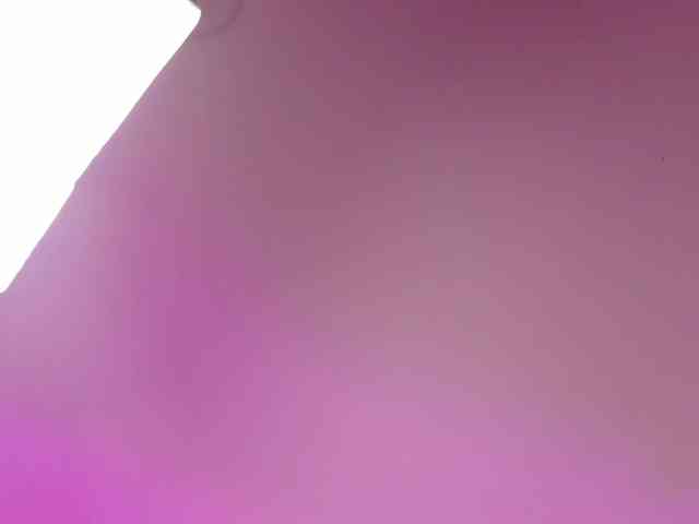 Gabriela-Suarez-1 webcam