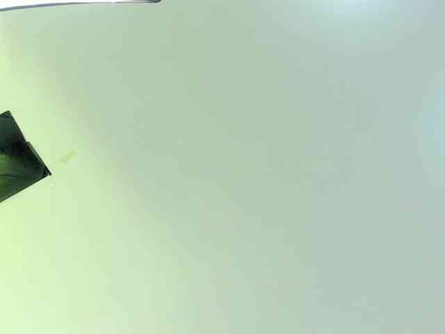 Gabriela-Suarez-1 webcam