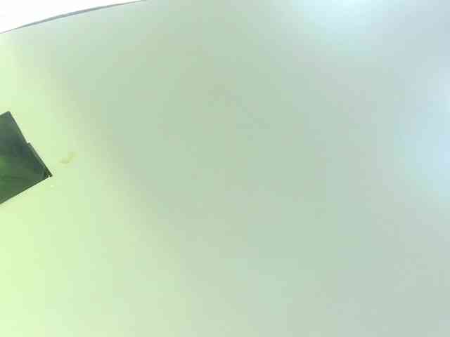 Gabriela-Suarez-1 webcam