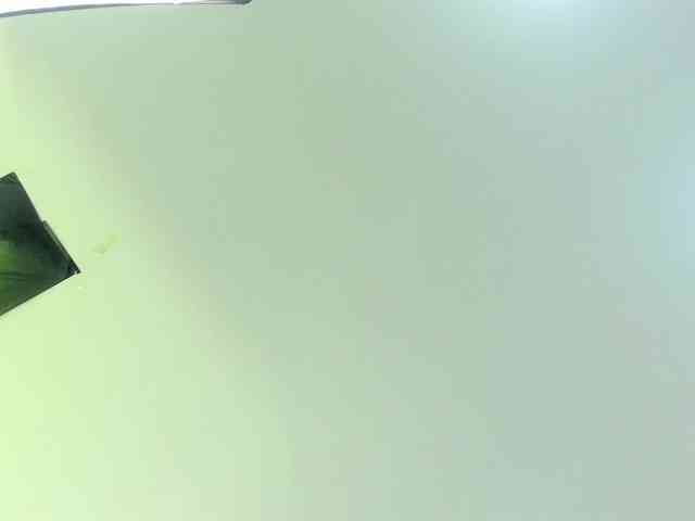 Gabriela-Suarez-1 webcam