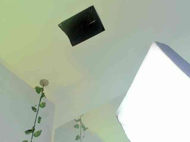 Gabriela-Suarez-1 webcam