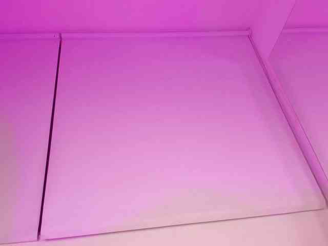 Gabriela-Suarez-1 webcam