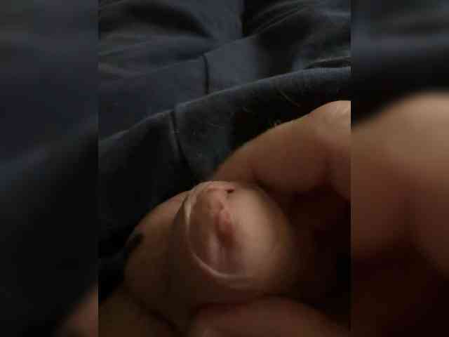 Cuute