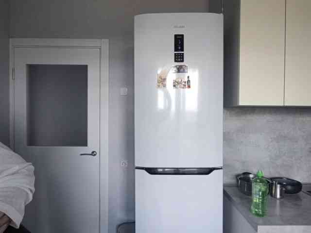 TericaFamulare webcam