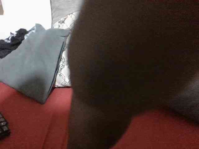 Evethegirl webcam