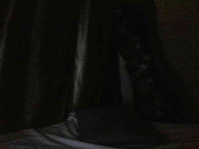 Evethegirl webcam