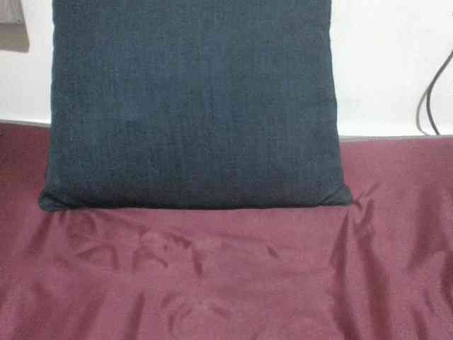 Evethegirl webcam