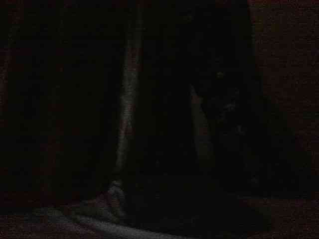 Evethegirl webcam