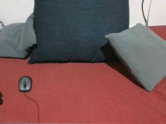 Evethegirl webcam