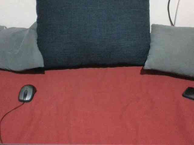 Evethegirl webcam