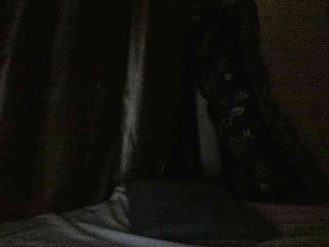 Evethegirl webcam